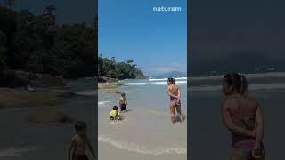 Praia do Tenório Ubatuba #shorts