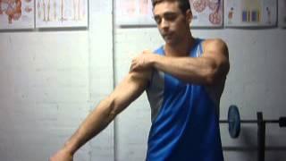Shoulders, flextion, rotation, protraction, retraction