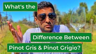 What is the Difference Between Pinot Gris & Pinot Grigio?