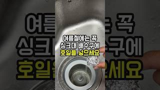 여름철에는 꼭 주방배수구에 호일볼을 넣어두세요