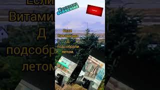 Ирландия- Остров- Восторг‼️Кто Друг по Осени #ireland #ирландия #mylife #ukrainianrefugee #from