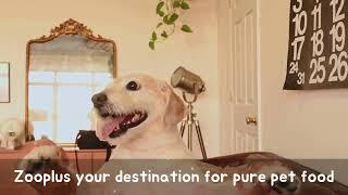 Zooplus your destination for pure pet food