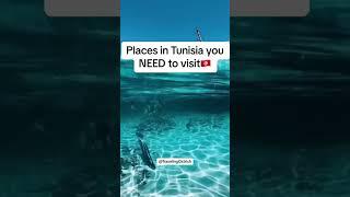 Places in Tunisia you NEED to visit! #tunisia #travel #recommendation #travelingostrich