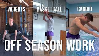 The Secret to a Successful Basketball Off Season Training Program | The Bell Curve Method