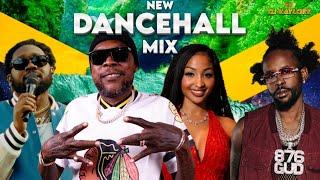 NEW DANCEHALL MIX 2025. VYBZ KARTEL. SHENSEEA. SKILLIBENG. POPCAAN. TOMMY LEE. KRAFF. MOLIY. SKENG