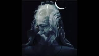 Blessings Always Guruji Playlist #1389