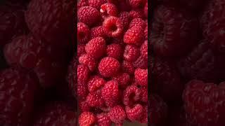 Свежая малина на вашем столе - это наша забота! #малина #саженцымалины #garden #strawberry