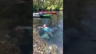 Mermaid in the water  #adventure #floridaadventure #floridabeach #florida #nature