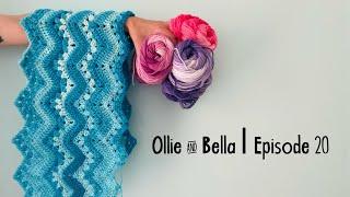 Ollie & Bella Podcast | Episode #20 Oops I did it again - ANOTHER BLANKET! Plus Winners announced!!