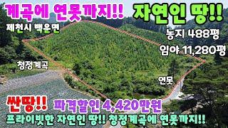 658. 자연인땅 으로 최고의 위치 제천시 백운면 나는자연인이다 땅매매 단독주택매매 제천주택매매 제천토지매매 제천부동산 제천전원주택매매