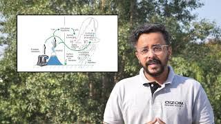 SO2 | Sulphur Dioxide | Sources and health impacts| OIZOM Academy