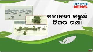 Trees Growing In Mahanadi Both In Dry And Wet Condition | A Natural Wonder And Lesson For Society