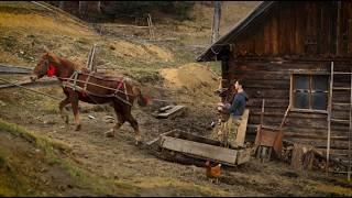 Life Beyond the Mountains. Family's Daily Survival Far From Civilization