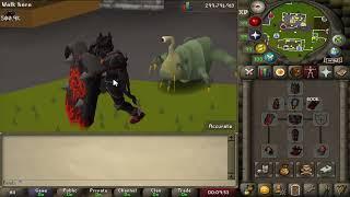 this brand new osrs rsps has 2 separate worlds 2 servers into one 100 giveaway areos osrs rsps 1080