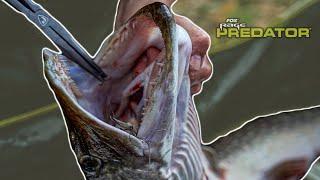 FLOAT FISHING DEADBAITS FOR PIKE | Pike Handling and Rig Setup!