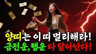 2025년 양띠 운세 대공개! 절대 피해야 할 띠 vs 재물복 터지는 궁합띠