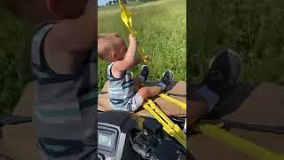 1 1/2 year old helping set up a paddock for the mob