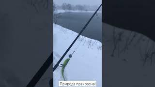 #Красота вокруг нас. Рыбалка наше все!