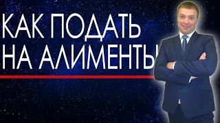 КАК САМОСТОЯТЕЛЬНО ПОДАТЬ НА АЛИМЕНТЫ / НАГЛЯДНОЕ ВИДЕОПОСОБИЕ / КАК СОСТАВИТЬ ЗАЯВЛЕНИЕ НА АЛИМЕНТЫ