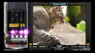 beatmania IIDX 23 copula 駅猫のワルツ SPA 正規