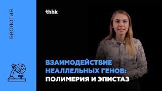 Взаимодействие неаллельных генов: полимерия и эпистаз | Биология