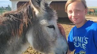 Four Minutes of Horse Rescue