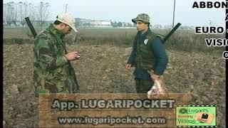 EP 46 CACCIA ALLA LEPRE CON I SEGUGI    - PROMO ABB TO 4,5 EURO TRIMESTR.