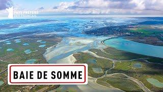 The Bay of Somme: The seal estuary  - 1000 Countries in one - Travel Documentary - MG