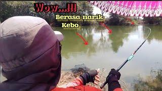 Mancing Belanak dan mujaer liaran//Umpan ampuh spot Kemudi