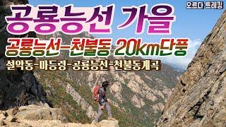 공룡능선 추천코스ㅣ마등령-공룡능선-천불동 20km│설악동시작-비선대-마등령-공룡능선-천불동계곡 코스│공룡능선 단풍절정! 이번주 최절정ㅣ설악산 등산 추천코스ㅣ설악산 단풍절정