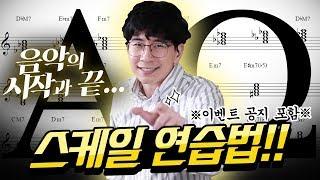 [박터틀] 스케일 완전정복! 음악의 시작과 끝이라고?! 피아노 독학 전 필수영상