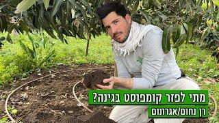 מתי לפזר קומפוסט בגינה?