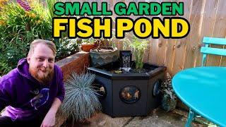 Creating a relaxing MINI PATIO POND for fancy goldfish.