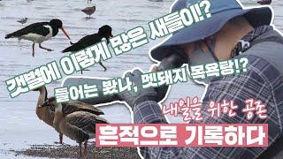 [국립생태원] 내일을 위한 공존 1부_흔적으로 기록하다(전국자연환경조사)