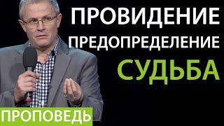 Провидение. Предопределение. Судьба. Проповедь Александра Шевченко 2019