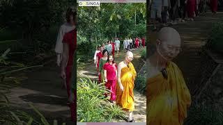 Bát Chánh Đạo - Liều thuốc chữa bệnh "Khổ" #shorts #gosinga