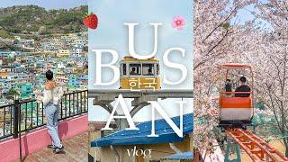 busan in 4 days 