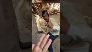 oh this is big lizard or komodo dragon egg