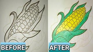 Corn Coloring Art – A Stunning Before & After Transformation