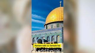 Hamare Huzur ﷺ Ne Irshad Farmaya | 10 Islamic Baatein | Urdu Status| Islamic WhatsApp Status Video