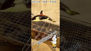 Eat Big Whale!吃大鯨魚！大きなクジラを食べよう！बड़ी व्हेल खाओ!#鯨魚#燒烤#美食