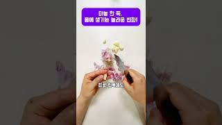 마늘 한 쪽, 몸에 생기는 놀라운 변화! #마늘효능 #슈퍼푸드