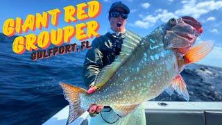 Catching my first Giant Red Grouper - Gulfport FL