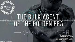 The Bulk agent of the Golden Era - EXPERIMENTAL / Maitreya Reiki™