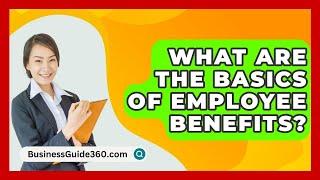 What Are The Basics Of Employee Benefits? - BusinessGuide360.com