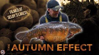 ***CARP FISHING IN AUTUMN!*** THE AUTUMN EFFECT | DNA BAITS | SIMON CROW | SELBY 3 LAKES