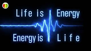 Life is Energy & Energy is Life - Axay Shah ~ Raw Food Guru