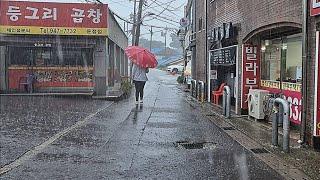 동네에 갑자기 폭우가 쏟아졌어요. 파주 야당동. 물폭탄. 소나기. 빗소리. 힐링. 우중산책. 불면증해소. 수면유도. ASMR비. rain sound. rain walk Korea.