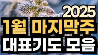 주일 대표기도문ㅣ2025년 1월 주일예배기도 모음ㅣ1월 4주 대표기도문 모음ㅣ대표기도가 어려운분들을 위한 기도예시문ㅣ1월 넷째주 마지막주 주일 예배 대표기도