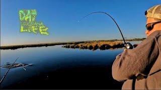 Chasing Redfish - South Louisiana Marsh (Bonus End Footage)